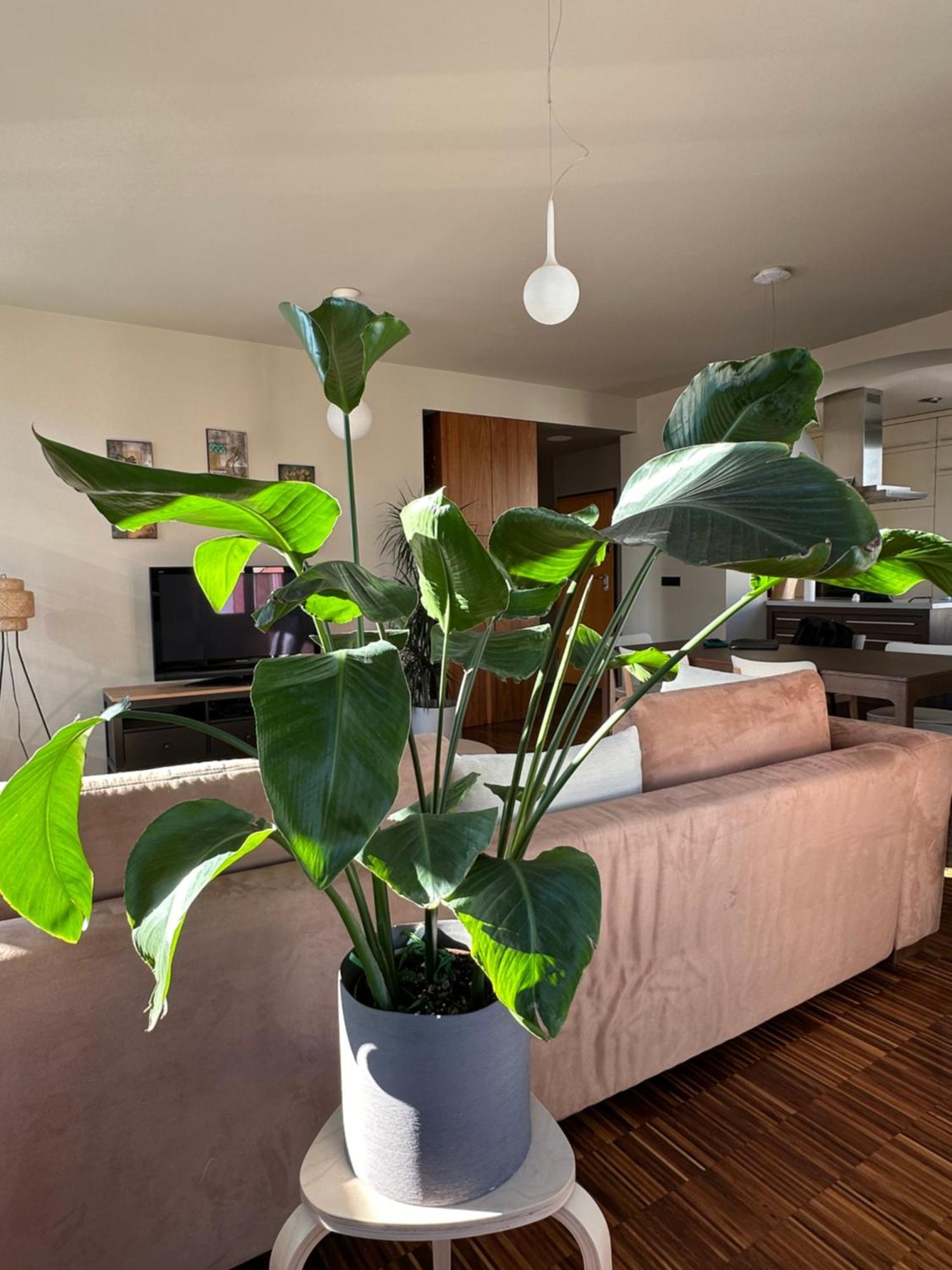 Triple Bridge Ljubljana Apartment Ngoại thất bức ảnh