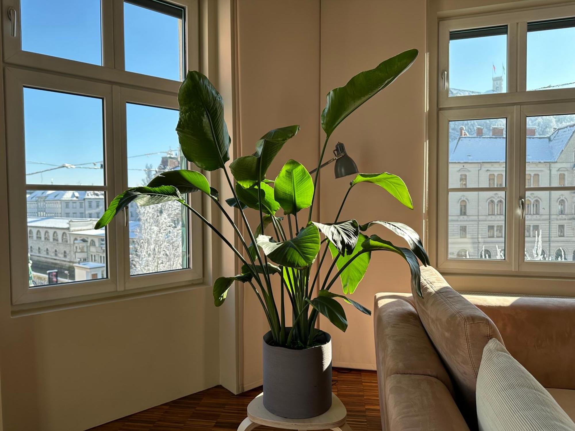 Triple Bridge Ljubljana Apartment Ngoại thất bức ảnh